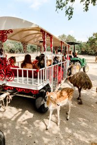 Wonder World (1).jpeg