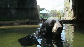 Cameron-Park-Zoo-Waco-Texas-wdm-architects-Zoo-Designer-wichita-ks-6-1000x560-c.jpg