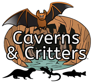 Caverns and Critters logo.png