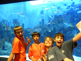 Cameron Park Zoo tour 3.jpg