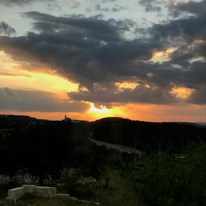 Racae Meyer - 81 Bold Ruler sunset.jpg
