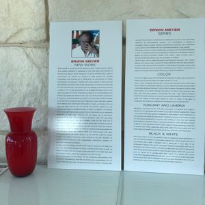 Racae Meyer - 9 Red vase next to curatorial statements.jpg