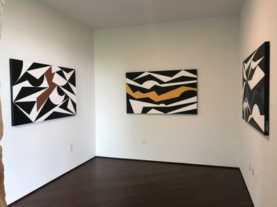 Racae Meyer - 49 Black & White + Color Nos. 1-3 in space.jpg