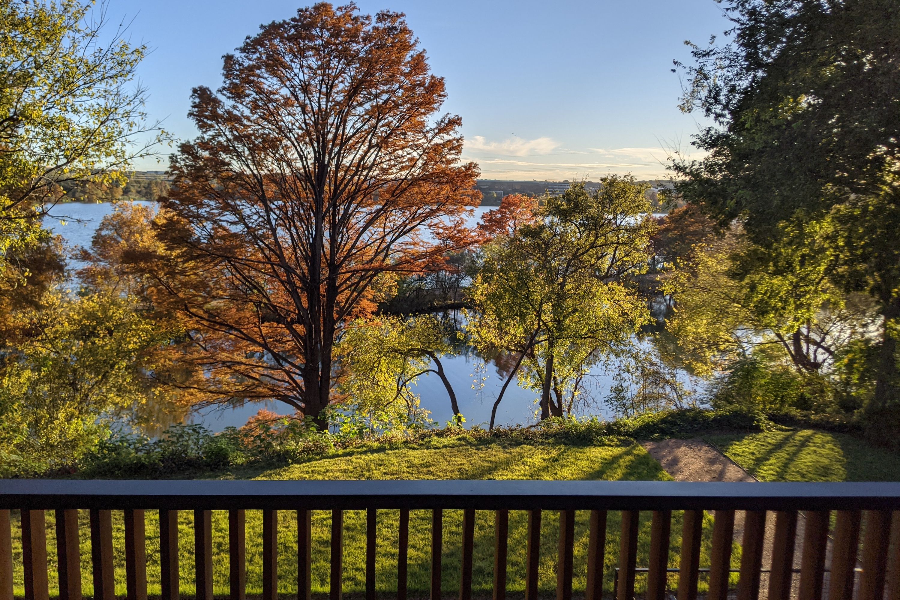 73 San Saba PXL_20211129_223732629 (1) 3000x2000;x.jpg