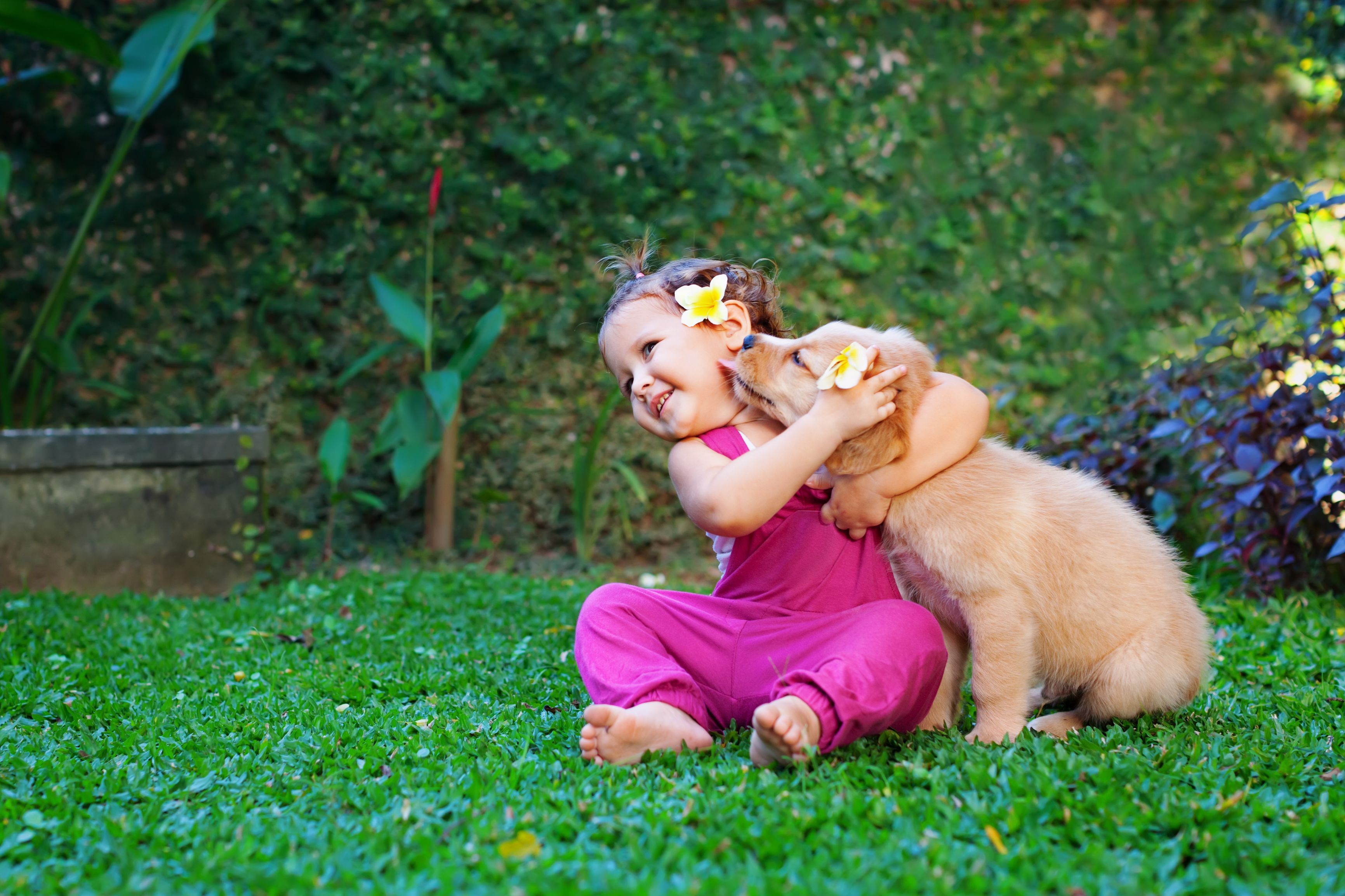 Compounding services available for the pets in your family Veterinary Compounding