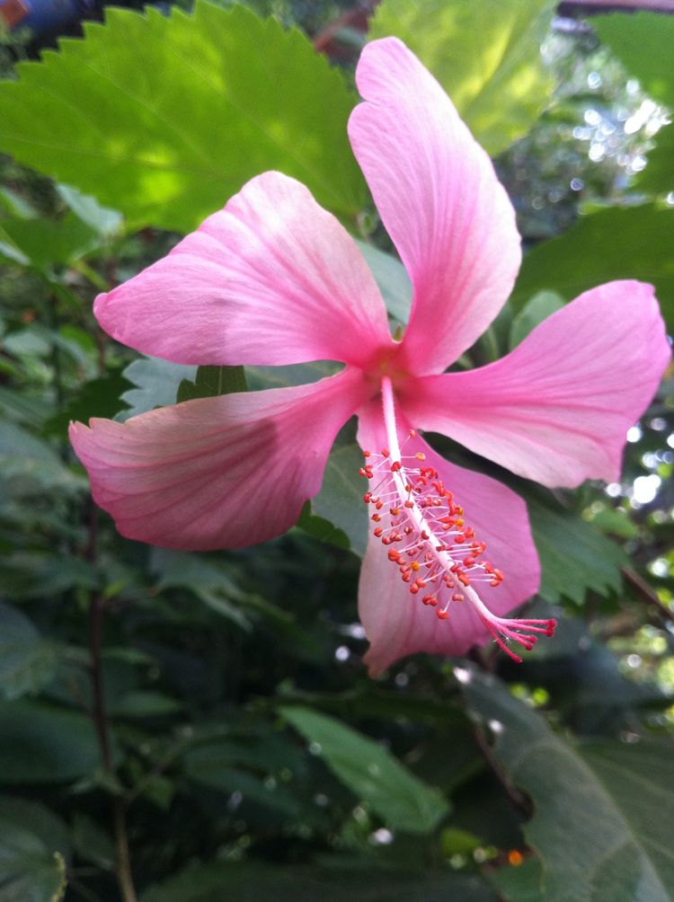 jan-feb2011 366_r.jpg