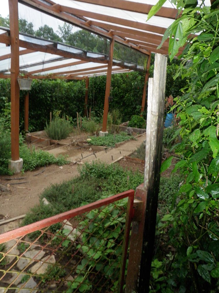 download_cr_april2010 072_r.jpg