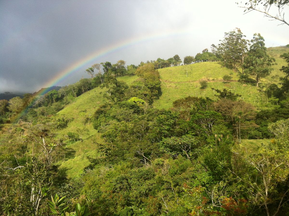 2012_february_lostornos 346.jpg