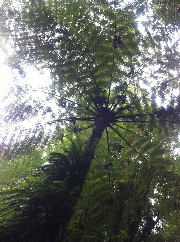 jan-feb2011 434_r.jpg