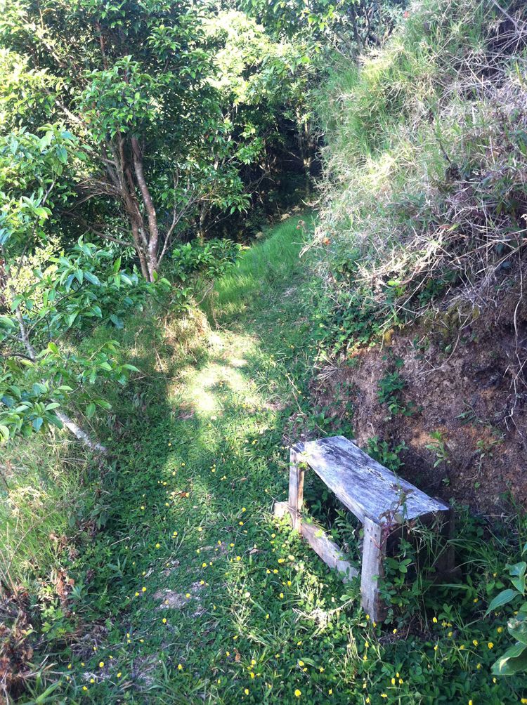 costarica_apr-may11 022_r.jpg