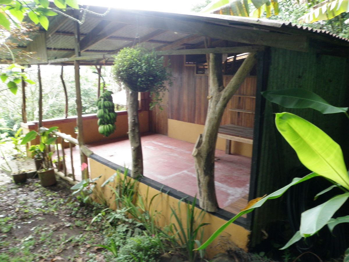 costarica_aug10 127.jpg