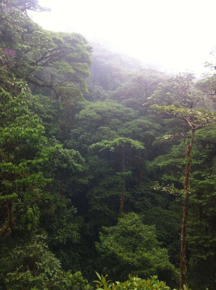 jan-feb2011 449_r.jpg