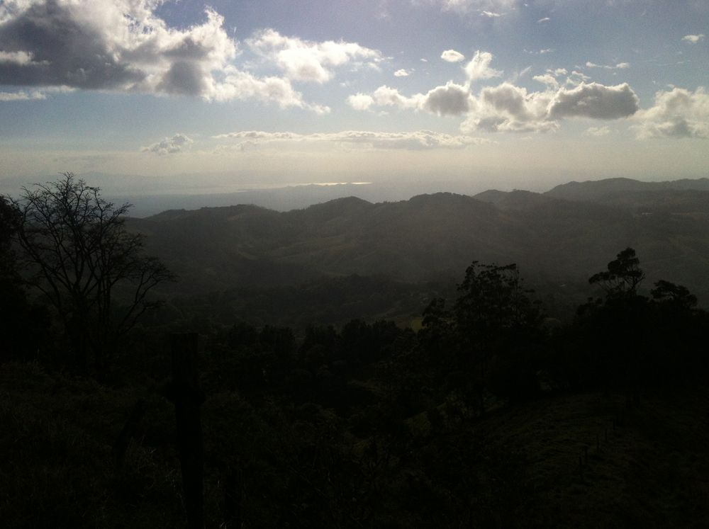 2012_february_lostornos 330_r.jpg