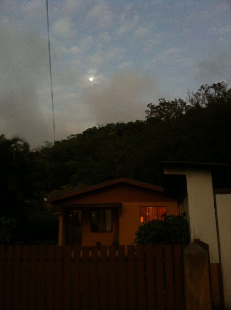 2012_february_lostornos 227_r.jpg