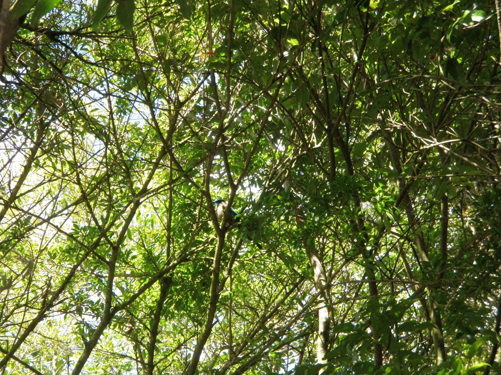 2012_mom&dad'scostarica 042_r.jpg