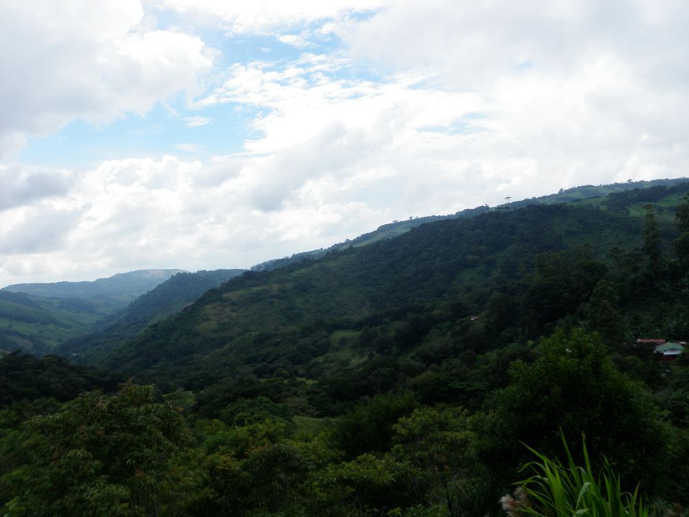 costarica_aug10 120_r.jpg