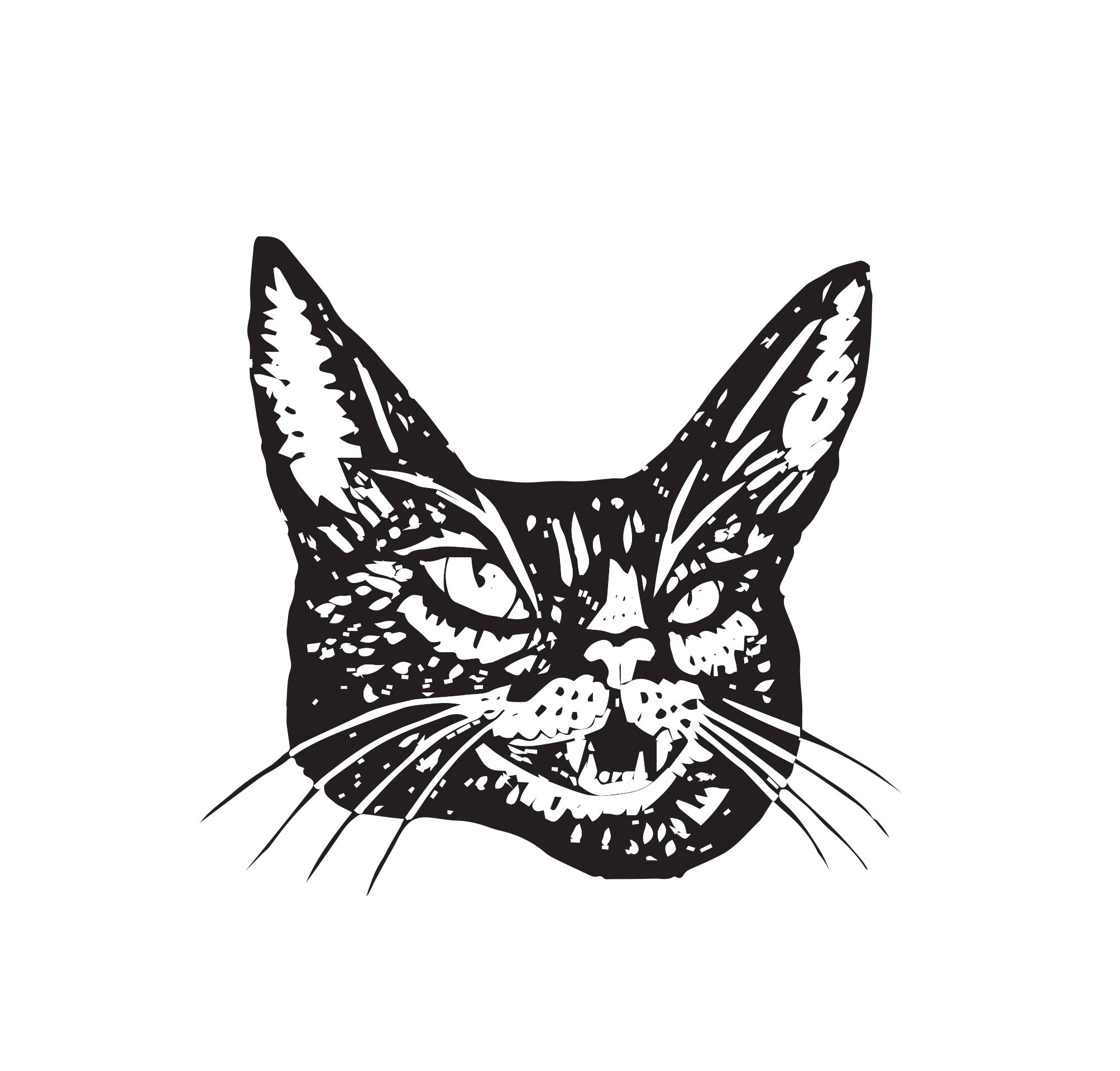 Mean Eyed Cat Driftwood