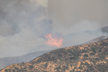 Canyon Fire Canyon Fire