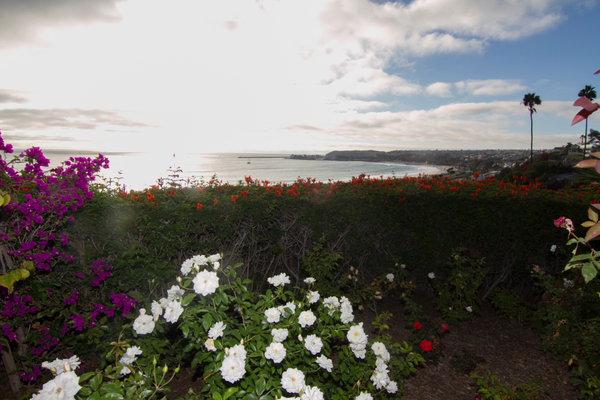 Palisades Park Palisades Park
