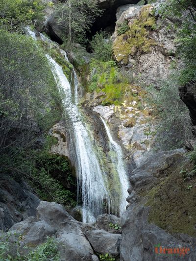 Salmon Creek Falls