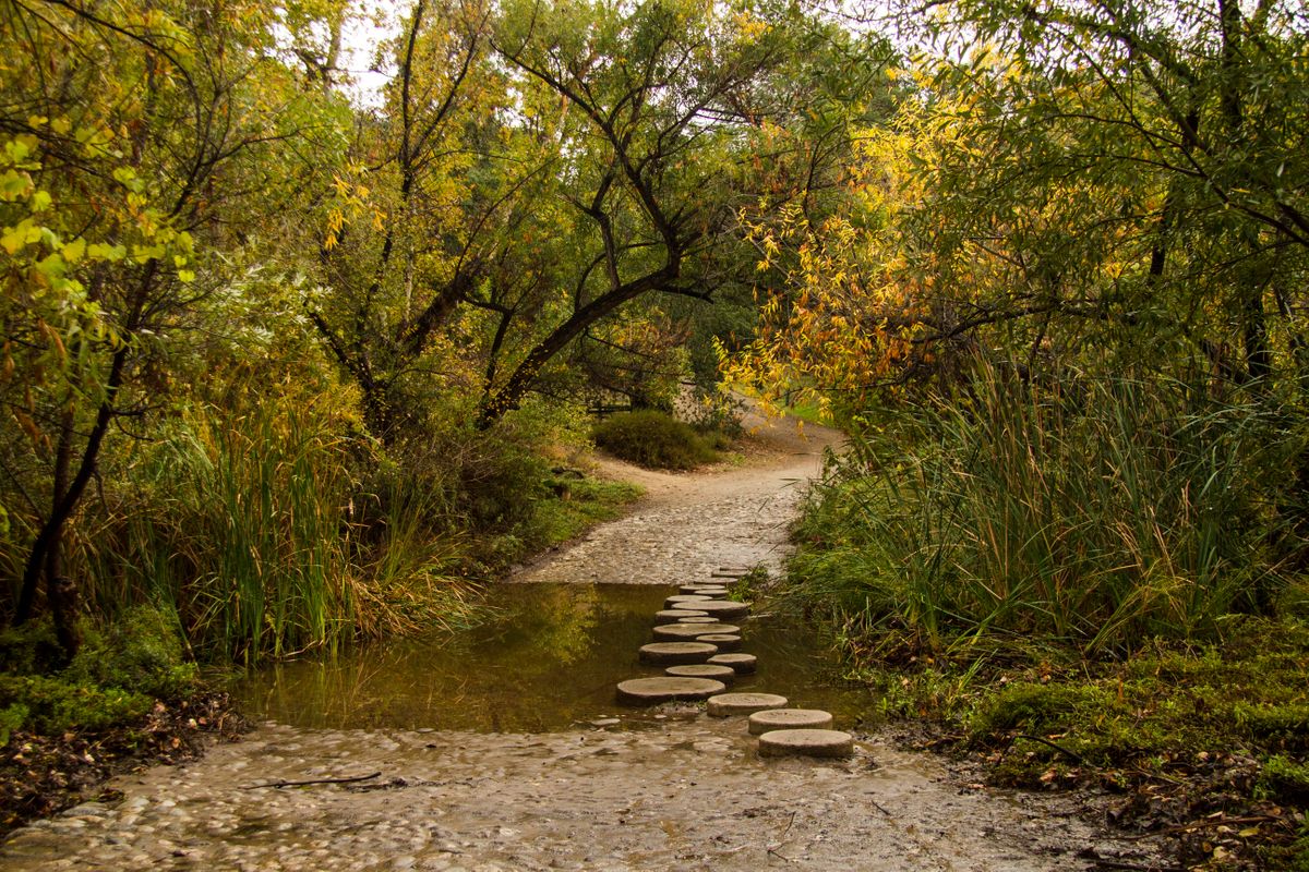 Santiago Oaks Regional Park