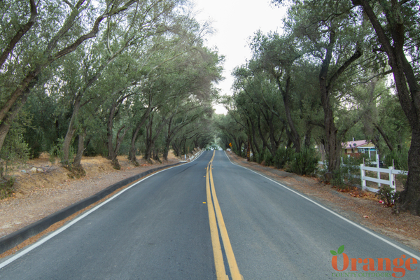 Modjeska Canyon Road Modjeska Canyon Road