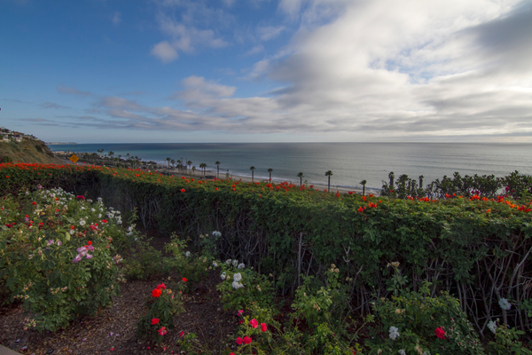 Palisades Park Palisades Park