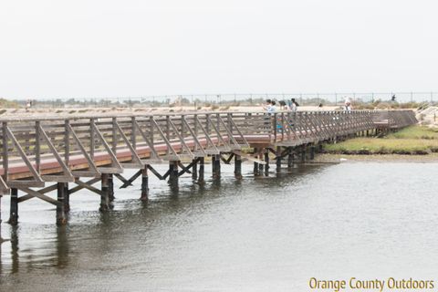 Bolsa Chica