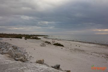 Beach Salton Sea State Park