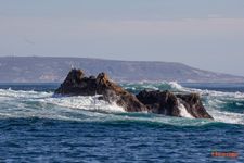San Nicolas Island