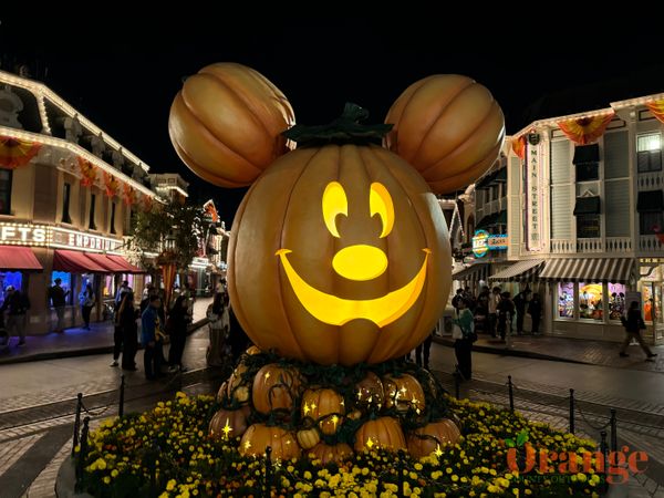 Disneyland