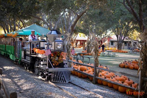 Irvine Park Railroad