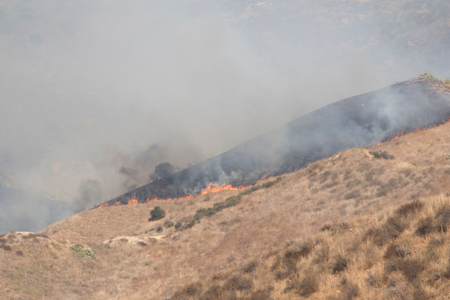 Canyon Fire Canyon Fire