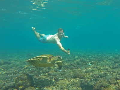 Swimming with a green sea turtle Swimming with a honu in Hawaii