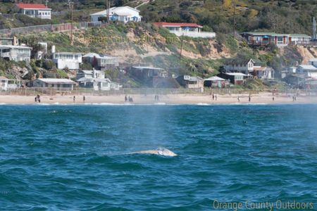 Crystal Cove Crystal Cove