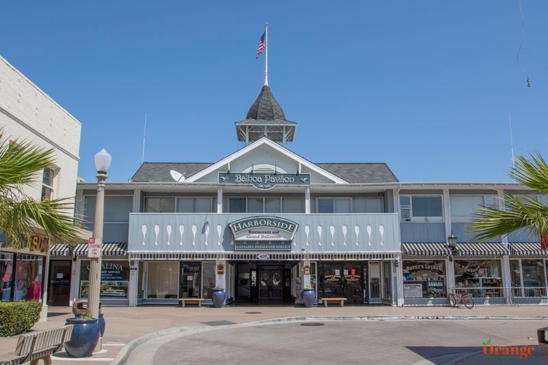 Newport Landing Whale Watching