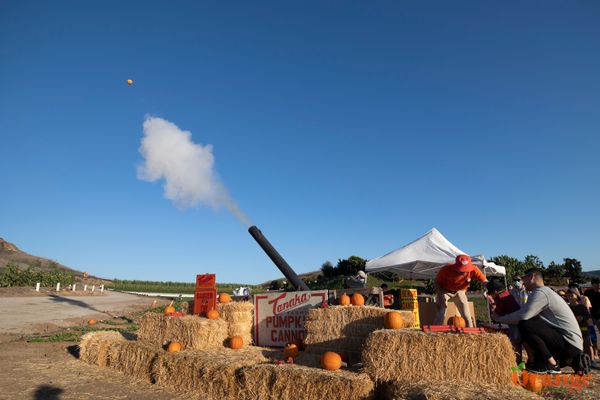 Tanaka Farms