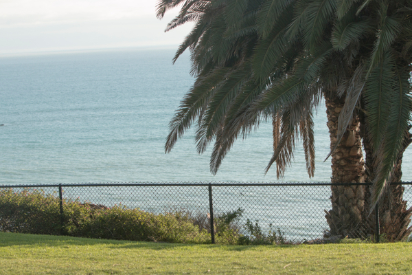 Nicely manicured grass with an ocean view, great for a picnic Pines Park