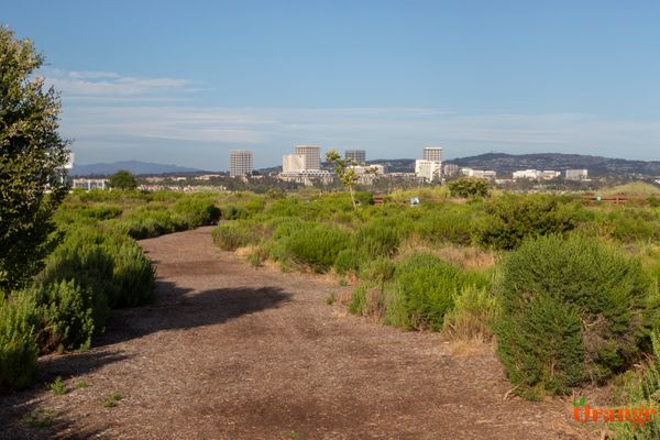 Castaways Park