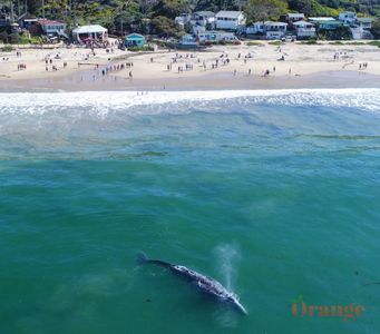 Crystal Cove Crystal Cove