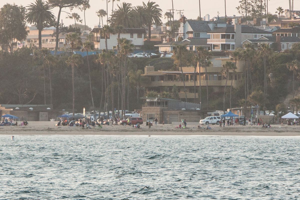 Shark Attack in Newport Beach