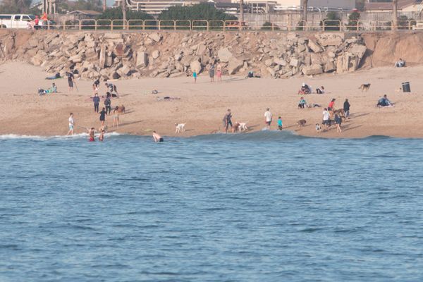 Huntington Dog Beach