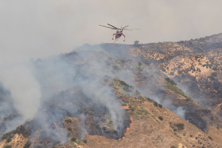 Canyon Fire Canyon Fire
