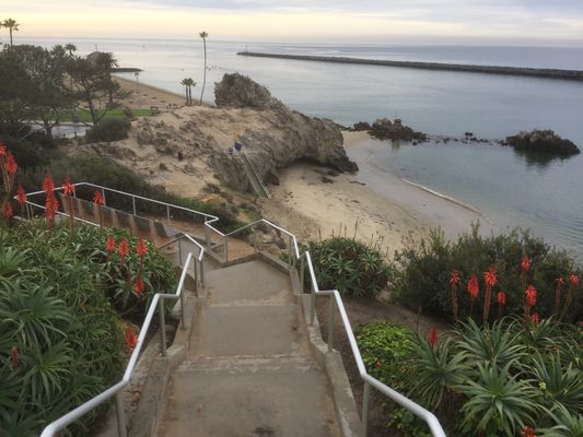 Lookout Point