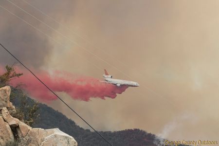 Rose Fire Rose Fire
