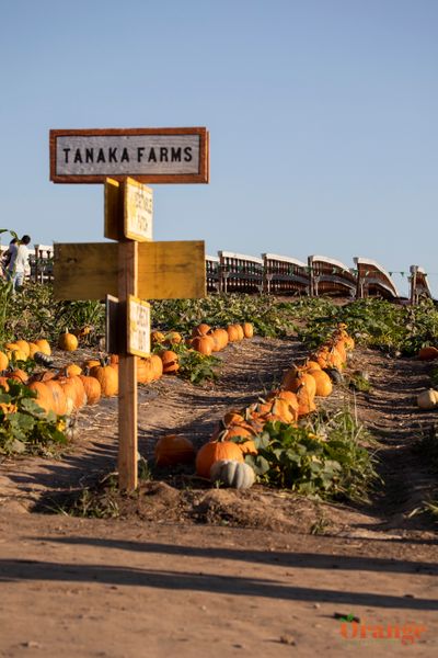 Tanaka Farms