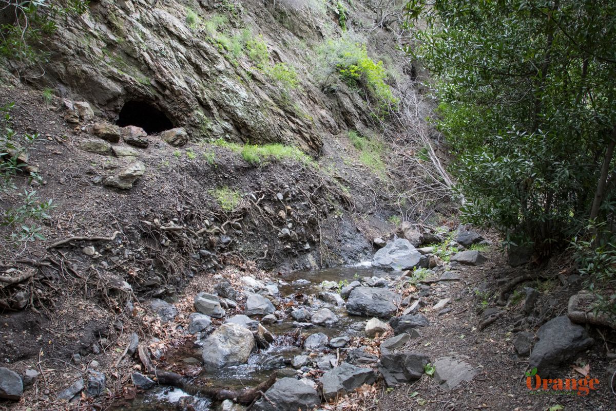 Falls Canyon