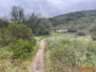 Aliso And Wood Canyons Regional Park