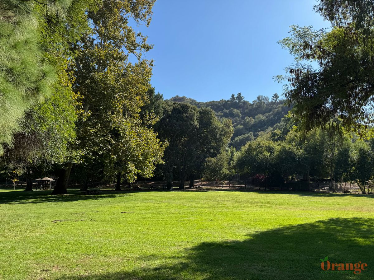 Griffith Park