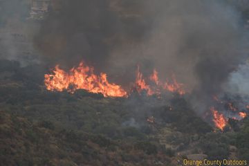 Rose Fire Rose Fire